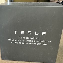 Tesla Paint Repair Kit 
