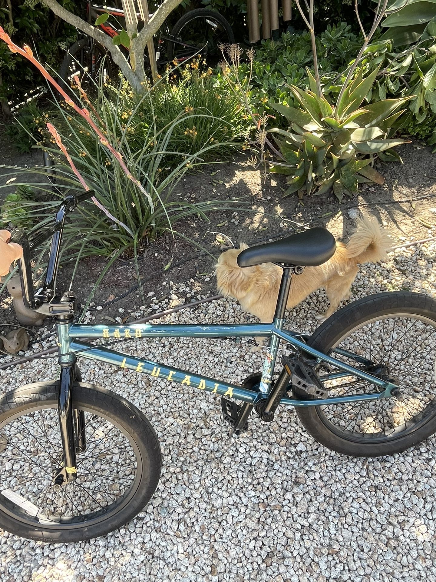 Haro Lecaudia Bmx Bike 