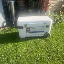 Igloo Cooler 