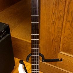 bass guitar 