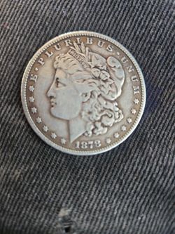 Dollar Coin 1878