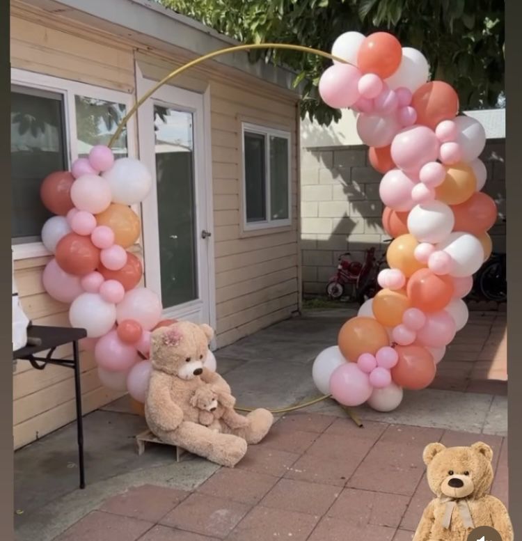 Teddy Bear   Must Sell