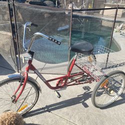 26" Adult Trike Tristar