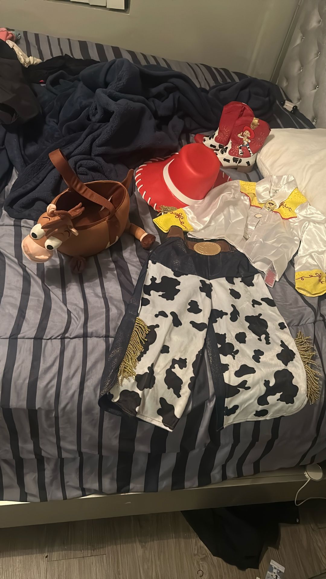 Jessie Costume (Disney Store )
