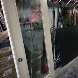 Etched palm tree glass single entry door
