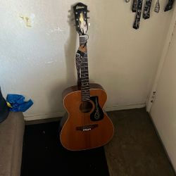 Sekova Acoustic Guitar 