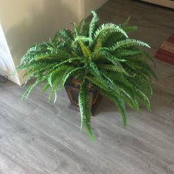 Fake Plant