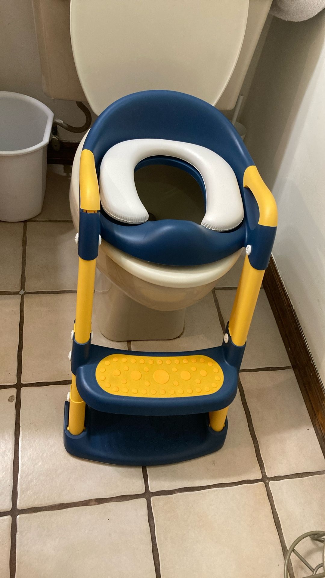 Toddler, toilet training seat, and step ladder