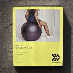 All In Motion 65cm Stability Ball