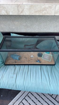 Reptile tank