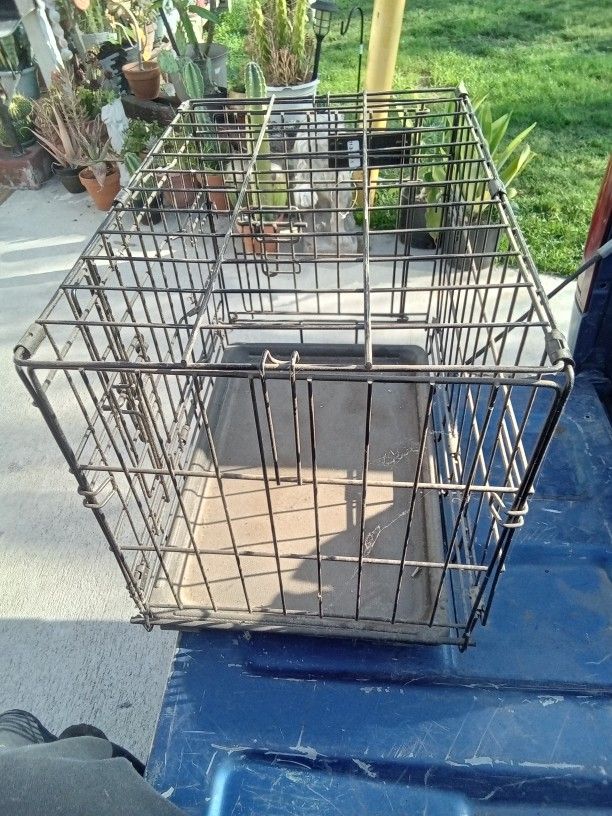 Small Kennel Form Dog Or Cat