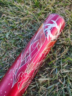 31 Inch Bat Demarini