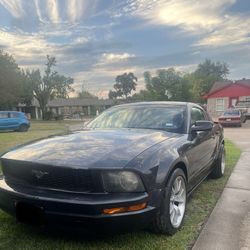 Mustang 2008 Automatico “BAD TRANSMICION”