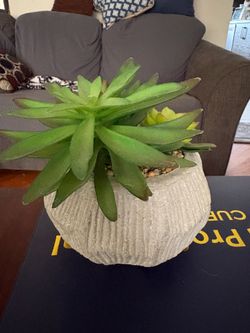 Decorating plant