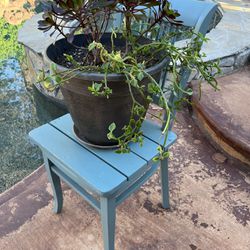 Plant Stand With Potted Plant