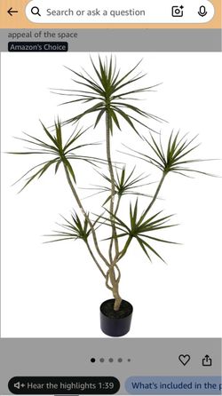 Artificial Plant