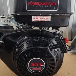 Predator 301cc Engine