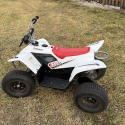 Razor Quad 500