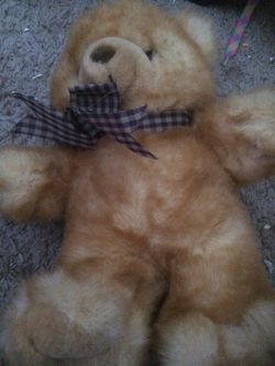 Bear