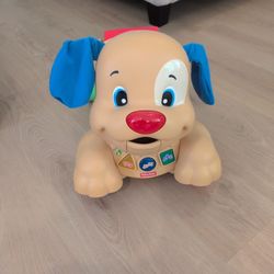Cute Rolling Dog