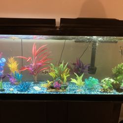 55 Gallon Aquarium With Stand & Accessories 
