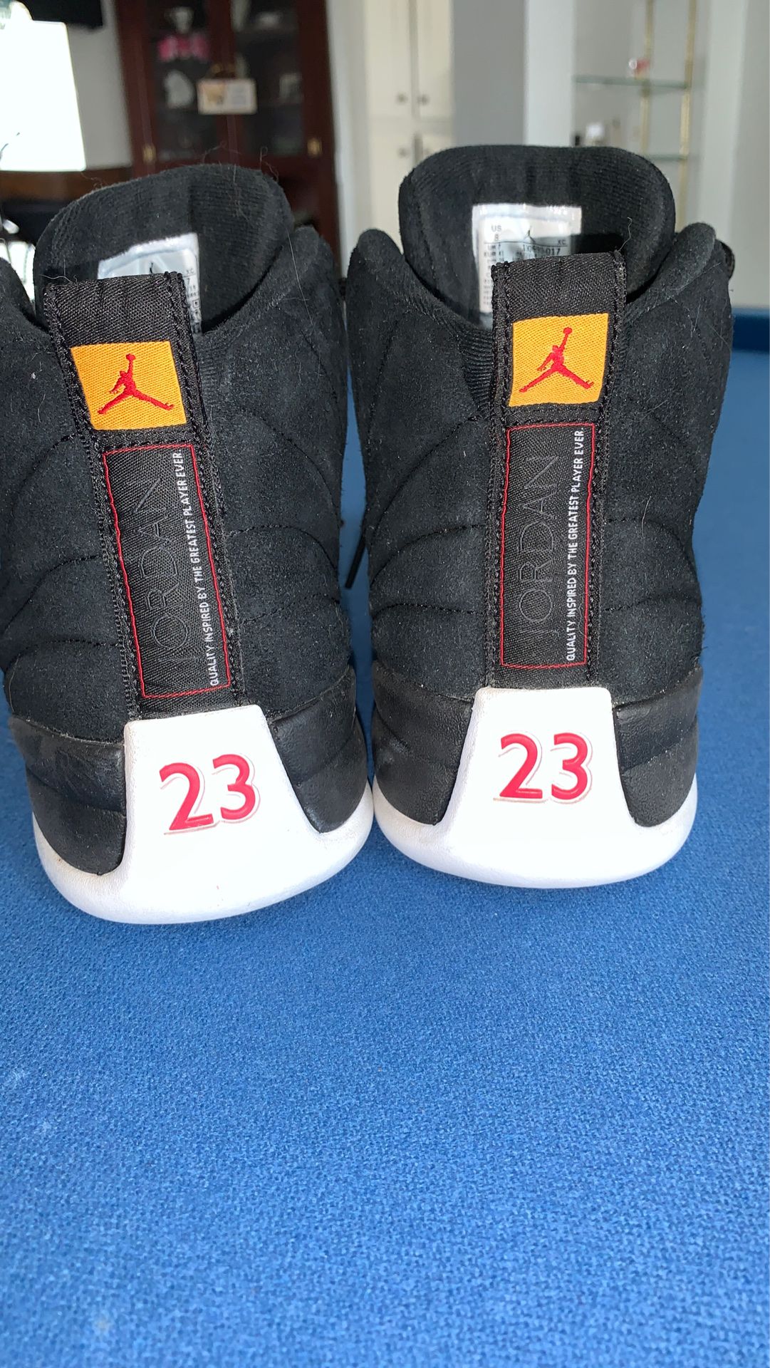 Air Jordan 12 / size 8 mens