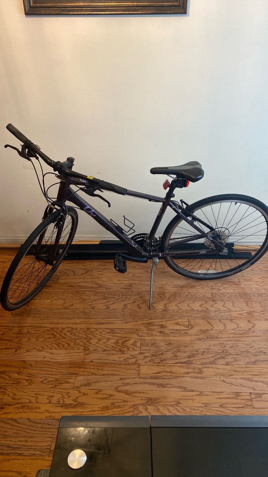 Liv Alight  Bike M Size Frame 