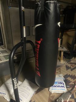 Everlast punching bad with stand
