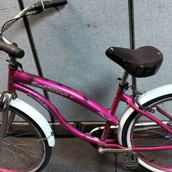 26 Sand Cruiser Bicycle $60