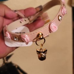 Pet Collar New Lrg Sz 