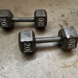 2x 20lbs Weight Dumbbells