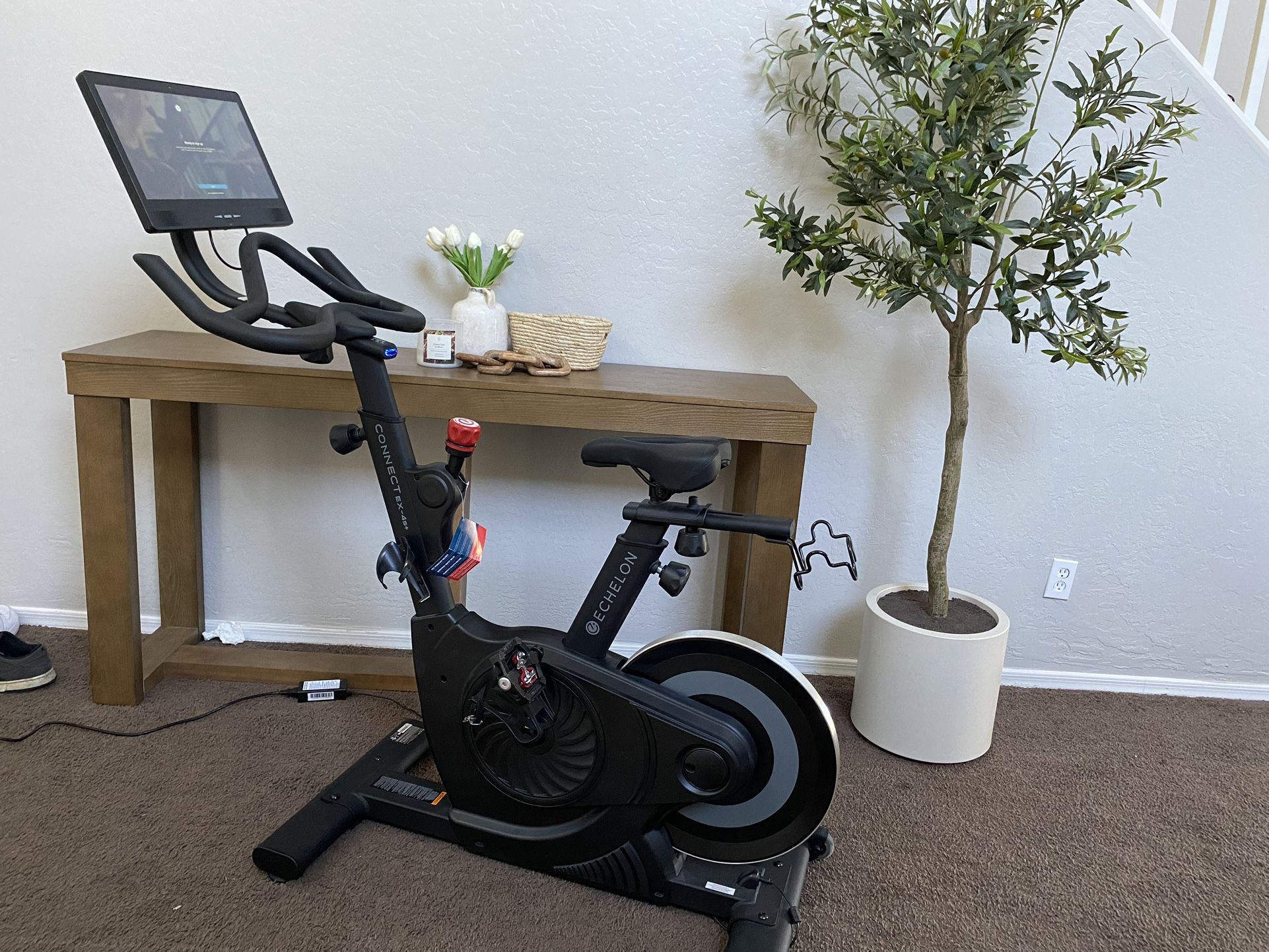 Echelon 4s+ Exercise Bike