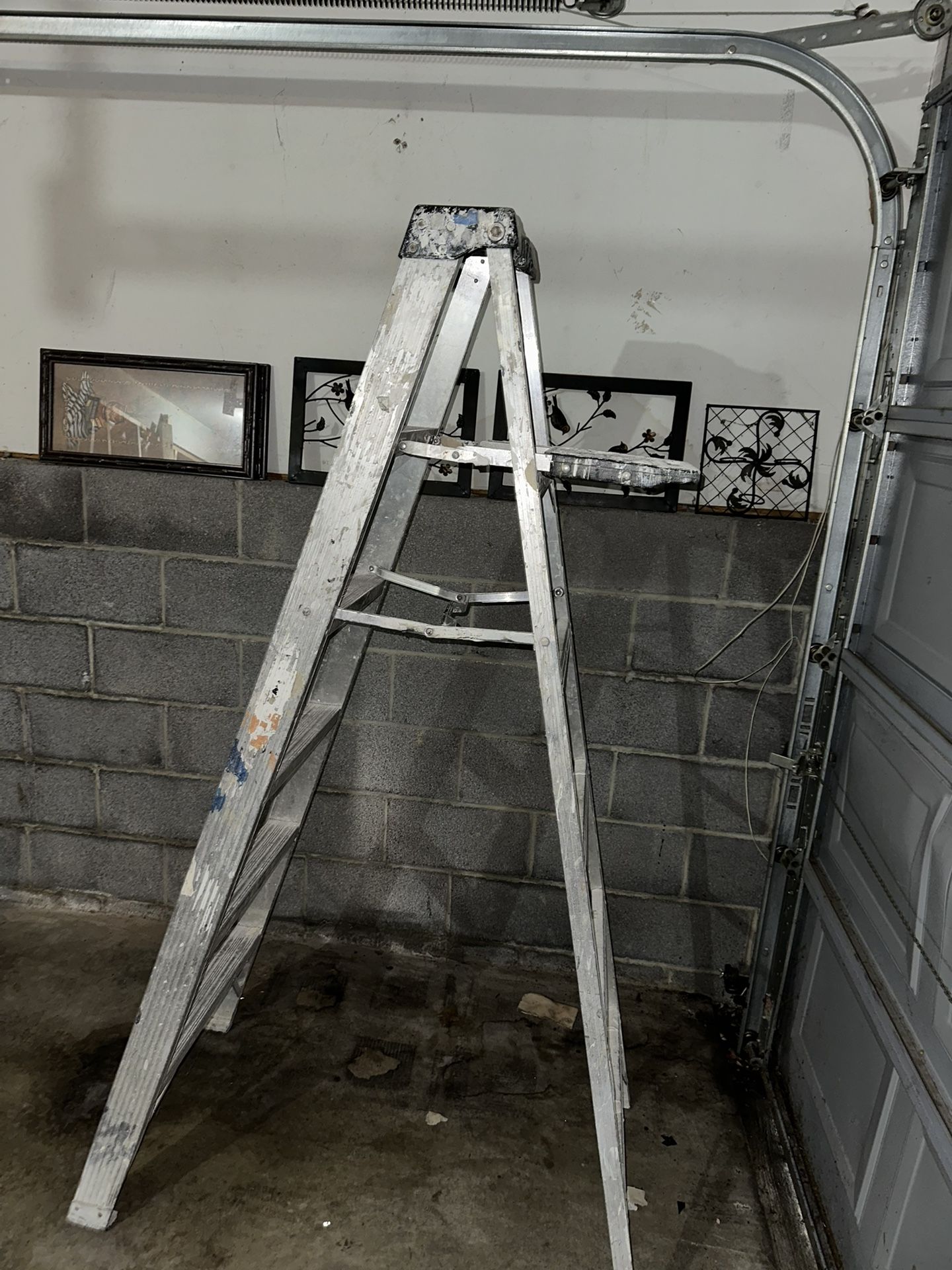 6ft Ladder