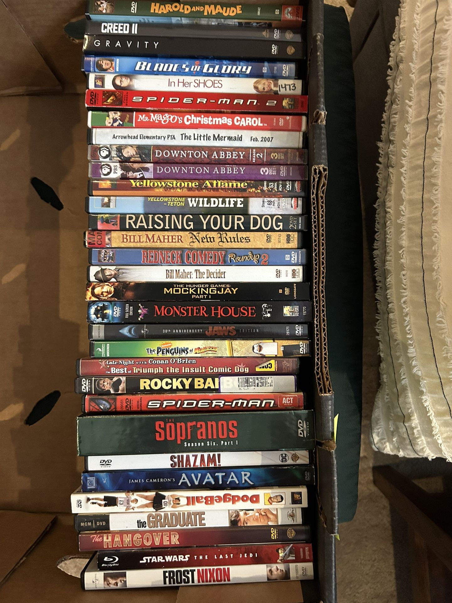DVD Collection