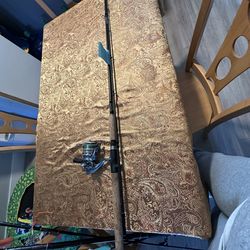 Fishing Rod And Reel