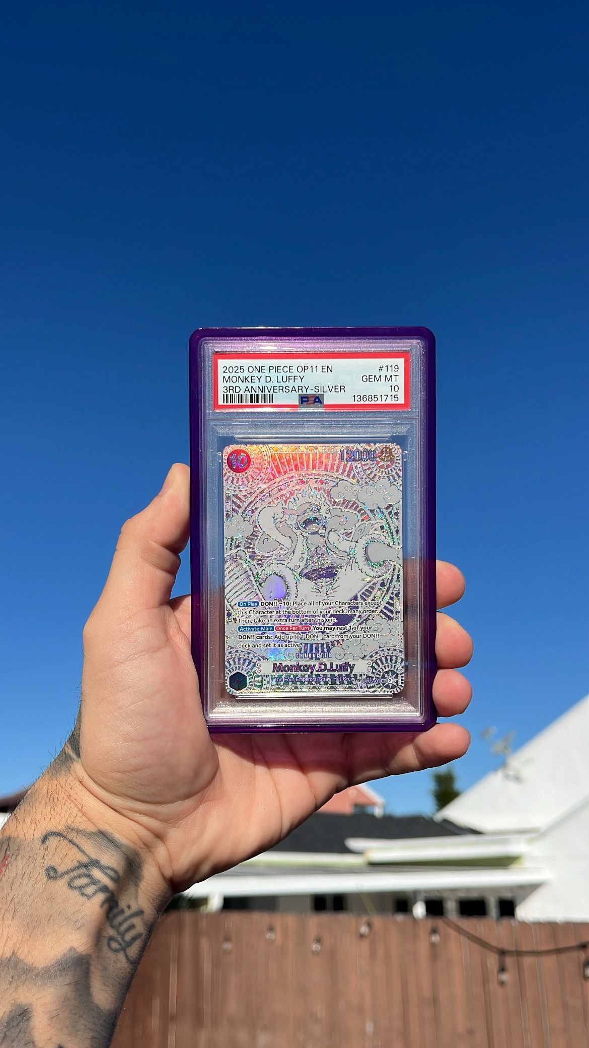 Silver Luffy Op11 One Piece Card