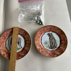 Safari Plates & Hangers