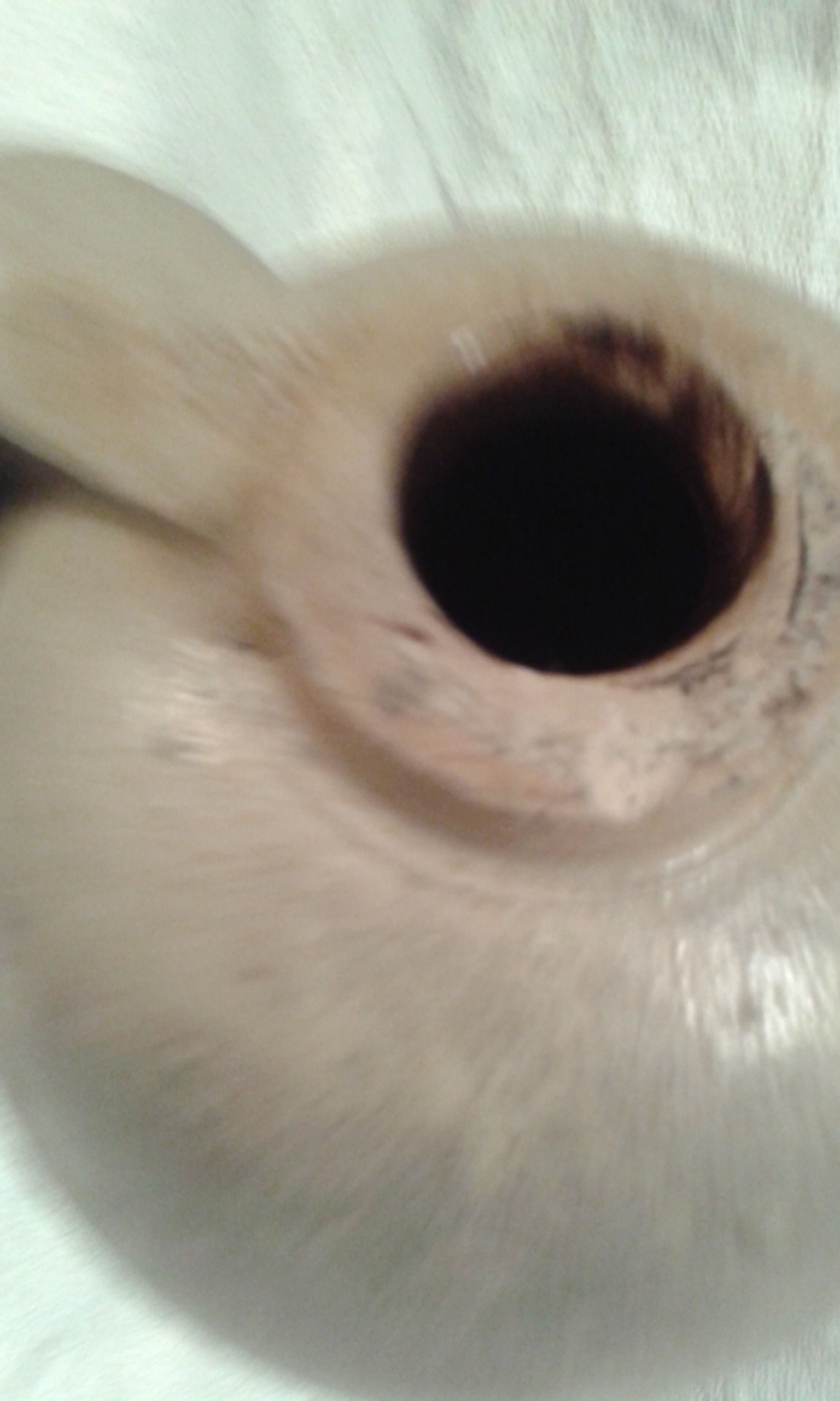 Civil war salt glazed jug! dug up in the 1970-s 1861-1864 -original!