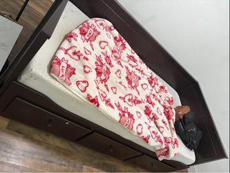 Twin/Full Day Bed CASH ONLY IN PERSON PICK UP AT PUBLIC PLACE