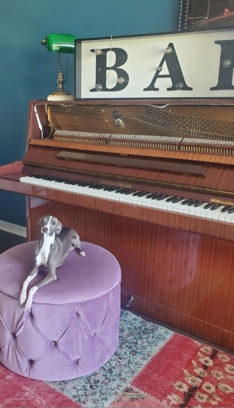 August Förster Upright Piano – Beautiful Tone, Classic Craftsmanship (Photos Included)