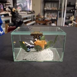 Vintage Butterfly 🦋  & Flower Diorama Preserved In Beveled Glass Case W/Mirror Bottom-Real Preserved Butterfly & Rose By Lifesake 7"W X 3"W X 3"H