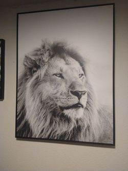 2 extra large pictures