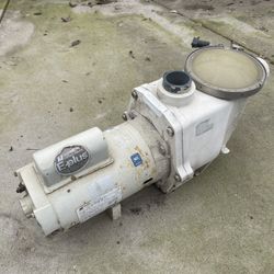 Pool Pump