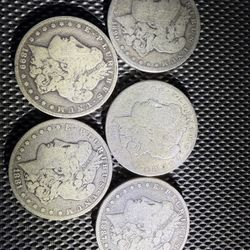 5 Morgan Silver Dollars 