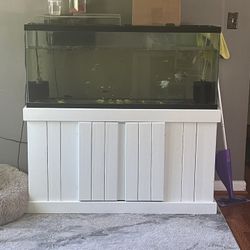 Fish Tank 