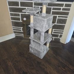 Cat's Accessories 