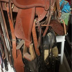 Horse Saddles 