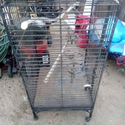 Bird Cage 