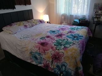 2 Sided Queen Bedspread W/2 Shams