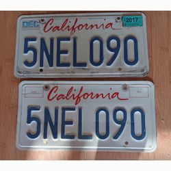 License Plates 